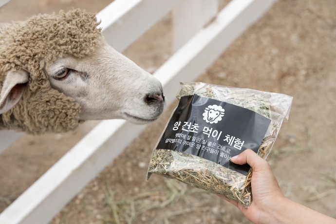 Imagen general del Hotel Kensington Resort Seorak Valley. Foto 2