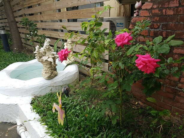 Imagen general del Hotel Kenting Go Lucky. Foto 7