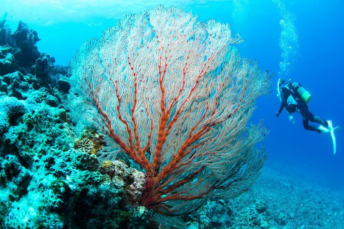 Imagen general del Hotel Kerama Terrace. Foto 11