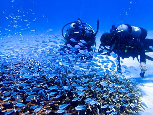 Imagen general del Hotel Kerama Terrace. Foto 13