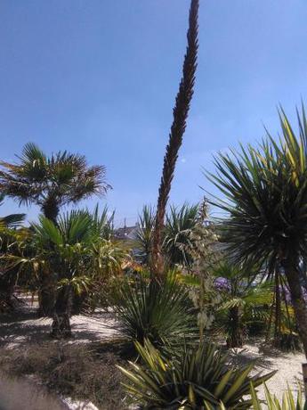 Imagen general del Hotel Ker-ar-mor. Foto 6