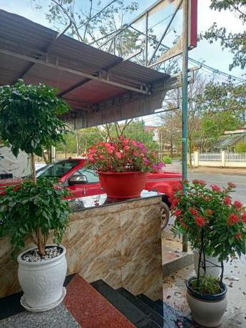 Imagen general del Hotel Kh&aacute;ch sạn Mimosa. Foto 12