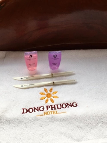 Imagen de la habitación del Hotel Khach San Dong Phuong. Foto 8