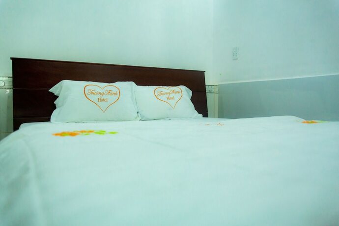 Imagen de la habitación del Hotel Khach San Truong Thinh. Foto 28
