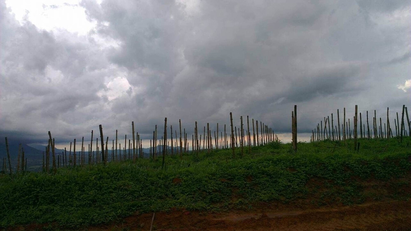 Imagen de los exteriores del Hotel Khao Kho Boutique Camps. Foto 8