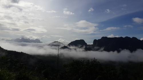 Imagen de la habitación del Hotel Khao Sok Country Resort. Foto 6