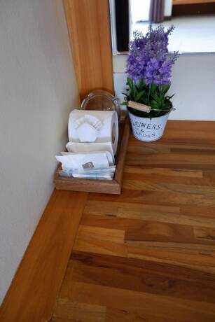 Imagen de la habitación del Hotel Khao Sok Nature Place. Foto 14