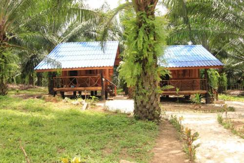 Imagen de la habitación del Hotel Khao Sok Palmview Resort. Foto 14