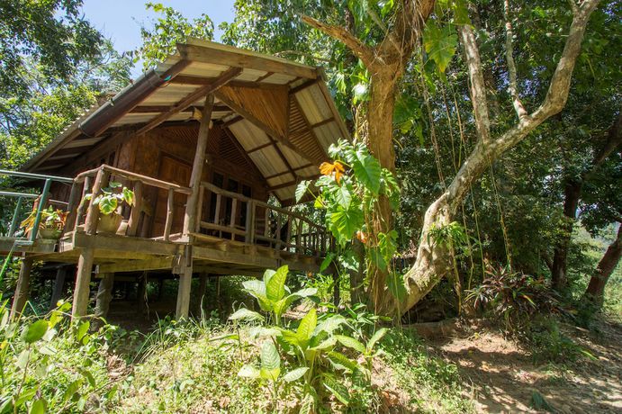 Imagen de la habitación del Hotel Khao Sok Riverside Cottage. Foto 2