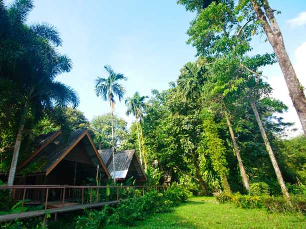 Imagen de la habitación del Hotel Khao Sok Riverside Cottage. Foto 3