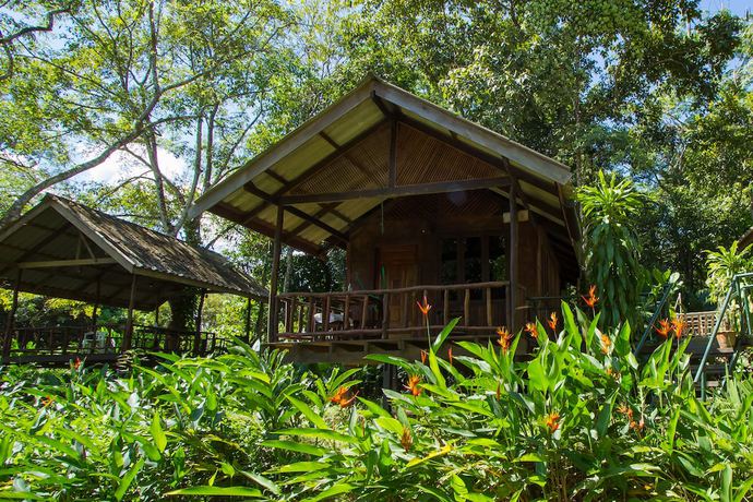 Imagen de la habitación del Hotel Khao Sok Riverside Cottage. Foto 8