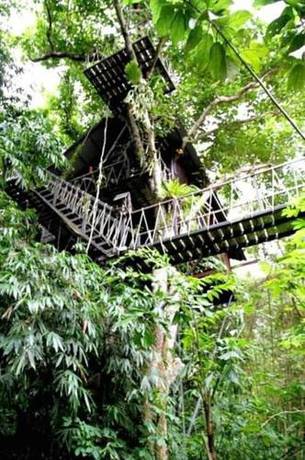 Imagen general del Hotel Khao Sok Tree House. Foto 1