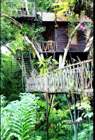 Imagen de la habitación del Hotel Khao Sok Tree House. Foto 2