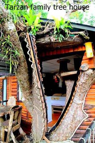 Imagen de la habitación del Hotel Khao Sok Tree House. Foto 3