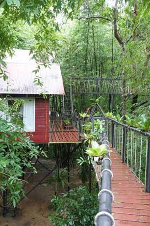 Imagen de la habitación del Hotel Khao Sok Tree House. Foto 6