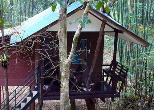 Imagen de la habitación del Hotel Khao Sok Tree House. Foto 11