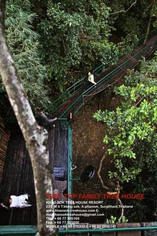 Imagen de la habitación del Hotel Khao Sok Tree House. Foto 12