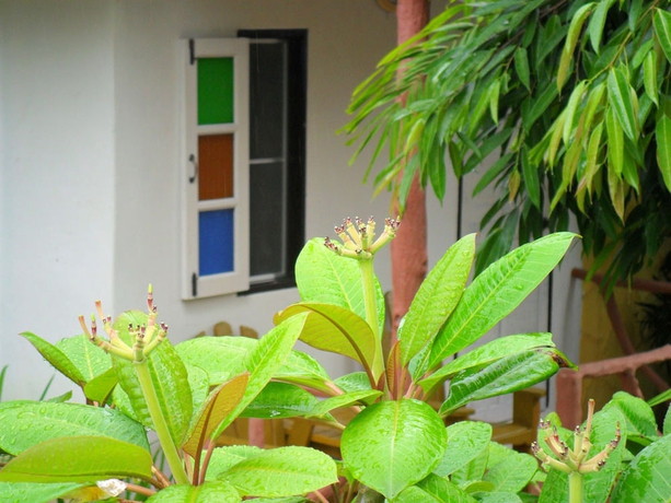 Imagen de los exteriores del Hotel Khaolak Banana Bungalow. Foto 10