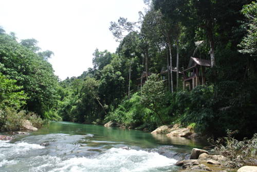 Imagen de la habitación del Hotel Khaosok Rainforest Resort. Foto 5