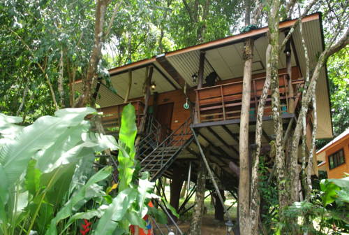 Imagen general del Hotel Khaosok Rainforest Resort. Foto 1