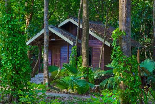 Imagen de la habitación del Hotel Khaosok Riverside Cottages. Foto 11