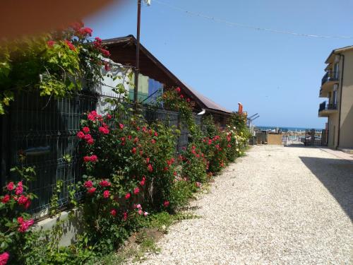 Imagen general del Hotel Kherim. Foto 10
