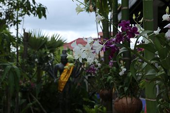 Imagen general del Hotel Khmer Mansion Boutique. Foto 4