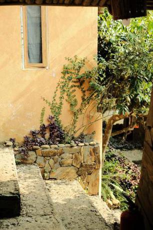 Imagen de la habitación del Hotel Không gian văn hóa trà Suối Giàng. Foto 20