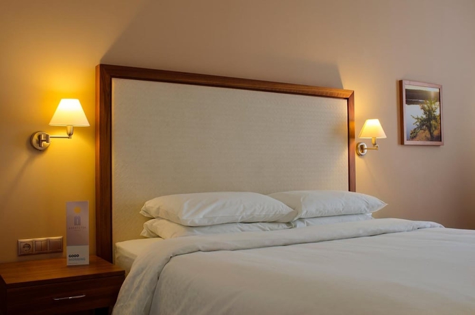 Imagen de la habitación del Hotel Khortitsa Palace. Foto 16