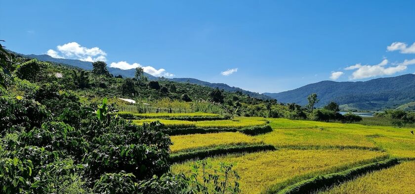 Imagen general del Hotel Khu nghi duong Kala Campark. Foto 1