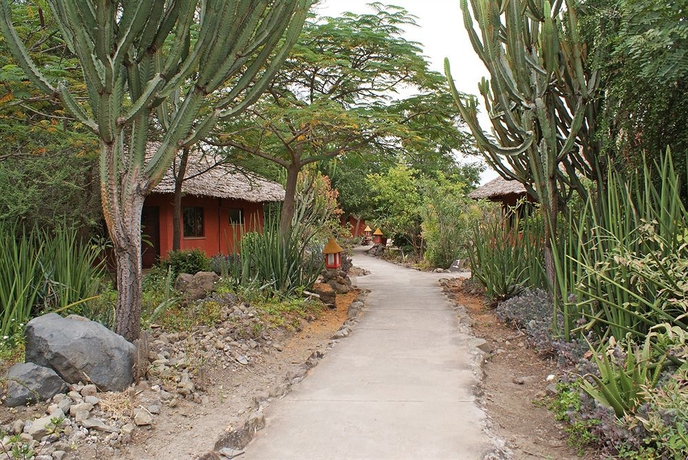 Imagen general del Hotel Kia Lodge. Foto 3