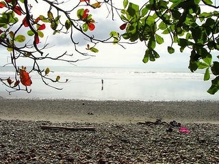 Imagen de los exteriores del Hotel Kiana Resorts. Foto 7