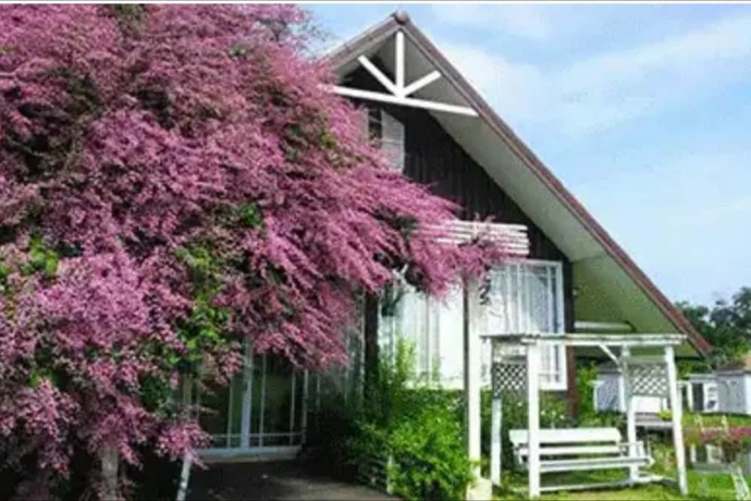 Imagen de la habitación del Hotel Kiangmok Chalet. Foto 13