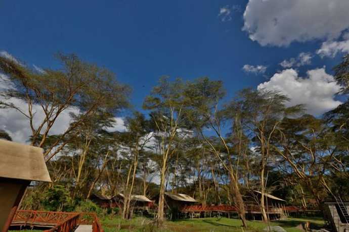Imagen general del Hotel Kiboko Luxury Camp. Foto 13