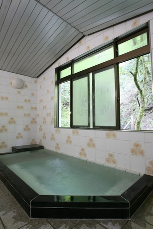 Imagen de la piscina del Hotel Kibune Hiroya. Foto 17