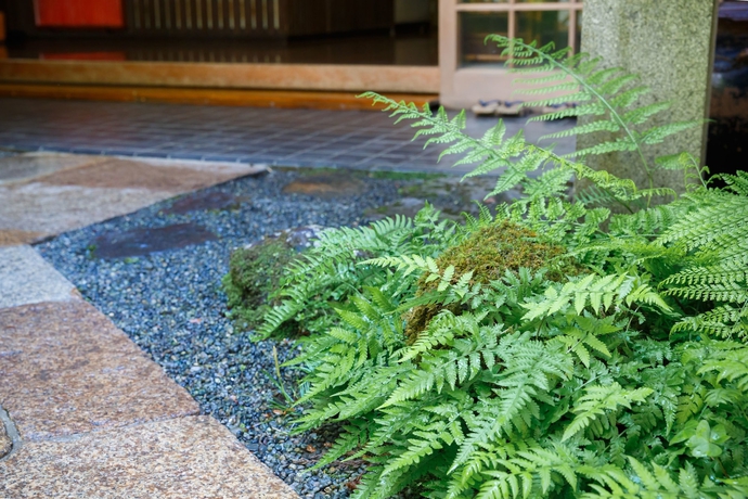 Imagen de los exteriores del Hotel Kibune Hiroya. Foto 12