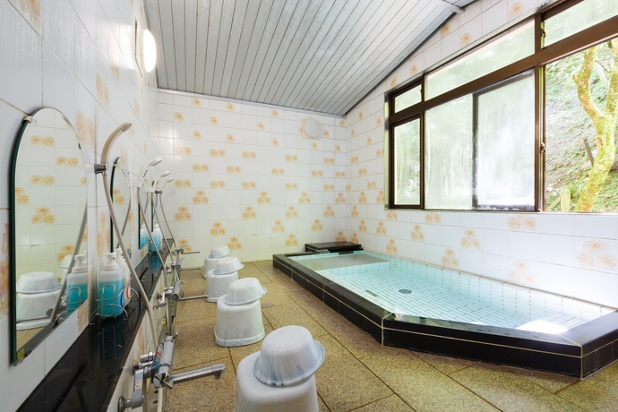 Imagen de la piscina del Hotel Kibune Hiroya. Foto 19