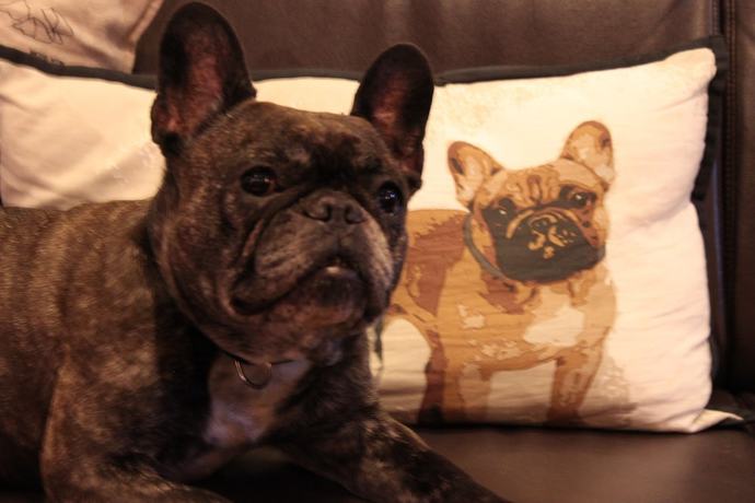 Imagen general del Hotel Kievari Ylitornio. Foto 2