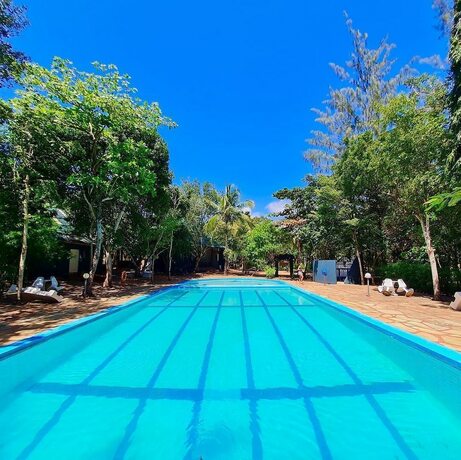 Imagen general del Hotel Kijani Cottages Diani. Foto 12