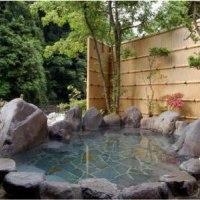 Imagen de la piscina del Hotel Kijitei Hoeiso. Foto 8