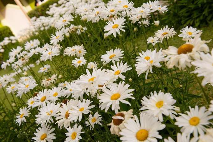 Imagen de los exteriores del Hotel Kiklamino. Foto 18