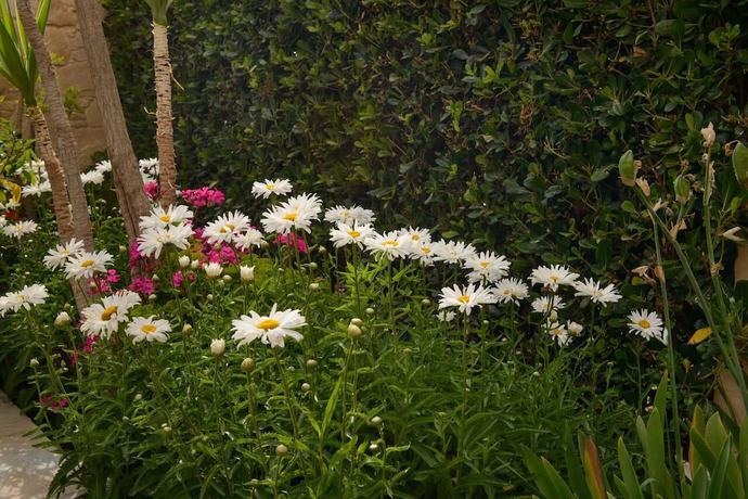 Imagen de la habitación del Hotel Kiklamino. Foto 14