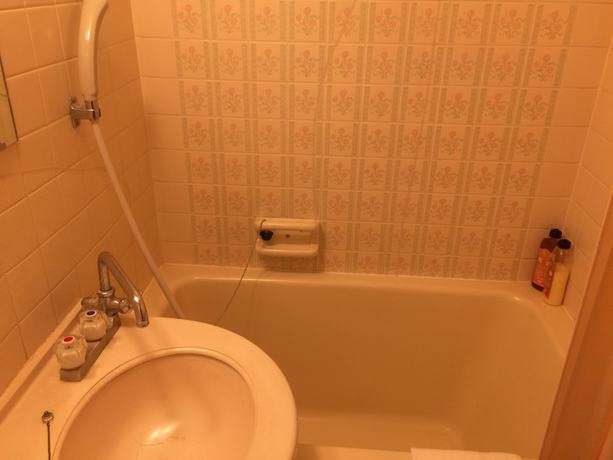 Imagen de la habitación del Hotel Kikuchi Kanko. Foto 5