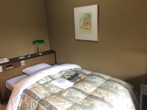 Imagen de la habitación del Hotel Kikuchi Kanko. Foto 11
