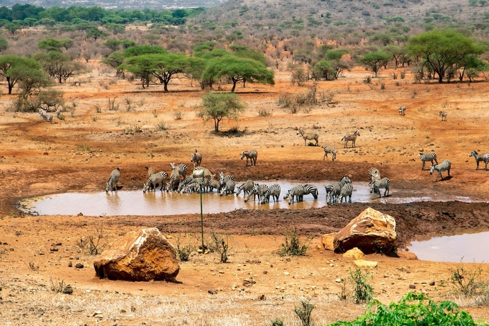 Imagen general del Hotel Kilaguni Serena Safari Lodge. Foto 1