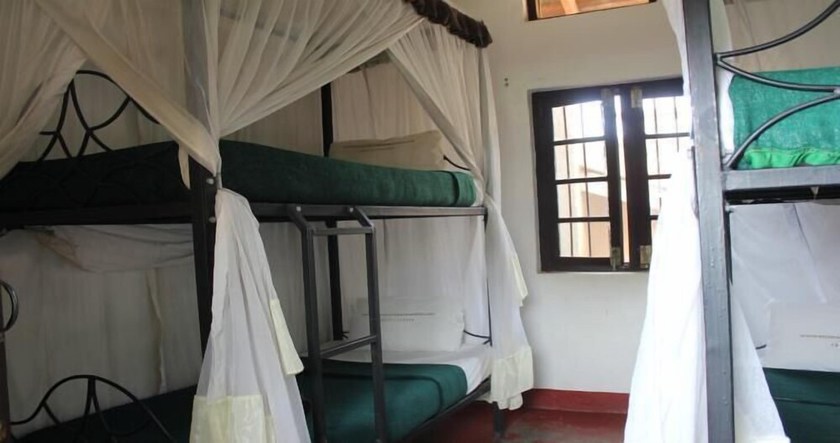 Imagen de la habitación del Hotel Kilimanjaro Backpackers - Backpacker. Foto 3