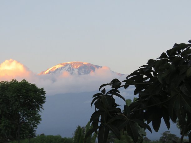 Imagen general del Hotel Kilimanjaro White House. Foto 1