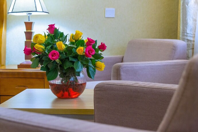 Imagen general del Hotel Kilimo Grand Resort. Foto 12