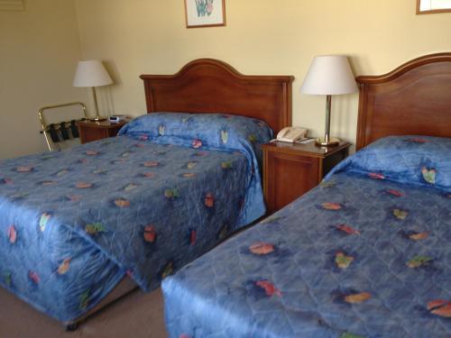 Imagen general del Hotel Killarney Lodge. Foto 4
