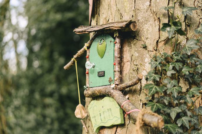 Imagen general del Hotel Killashee. Foto 4